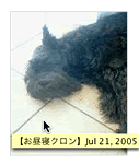 i-gecron画像のマウスオーバー時のサンプル