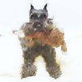 お気に入り_Nov 10, 2003 14:38