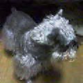 探し物_Nov 11, 2003 23:17