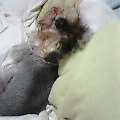 さかさジー_Nov 13, 2003 16:55