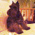 お人形化クロン_Mar  6, 2004 22:46