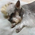 zzz..._Jun 23, 2004  1:14