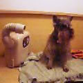 2003-1110-1745.jpg