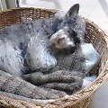 2004-0409-1621.jpg