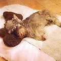 2004-0701-2313.jpg