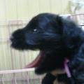 2004-0711-1405.jpg