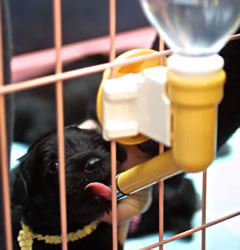 baby_051226-01.jpg