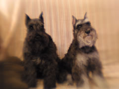 c_r_050927.jpg