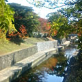 koyo_051121_2.jpg